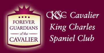 Cavalier King Charles Spaniel Club - USA